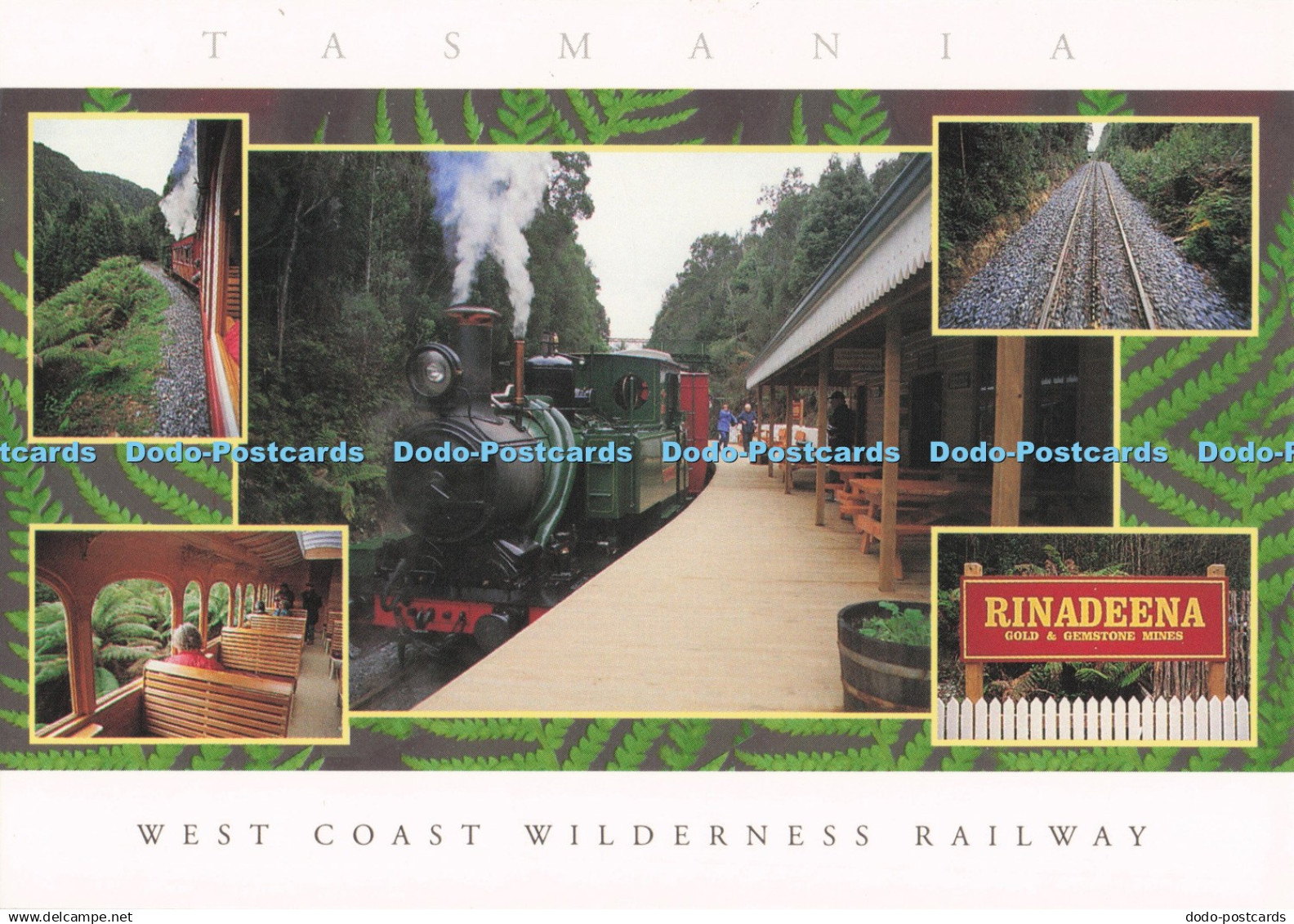 D287346 West Coast Wilderness Railway Rinadeena Tasmanian Postcards and Souvenir