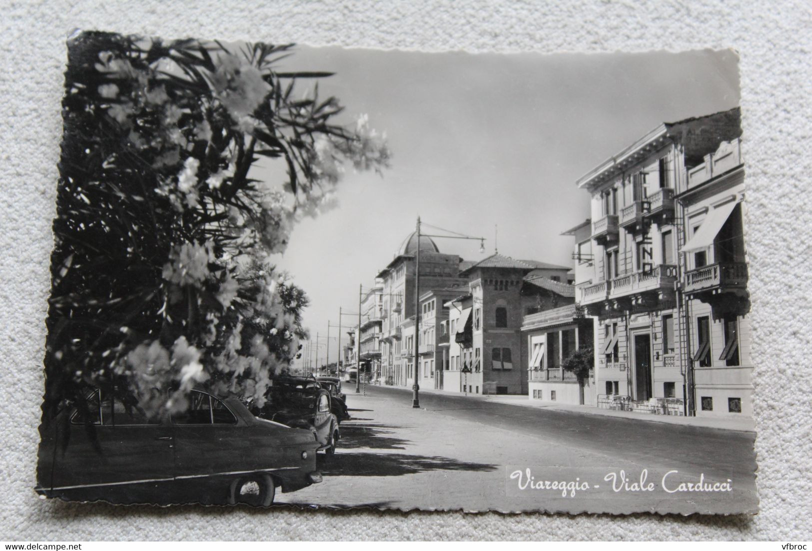 D288, Cpm, Viareggio, viale Carducci, Italie