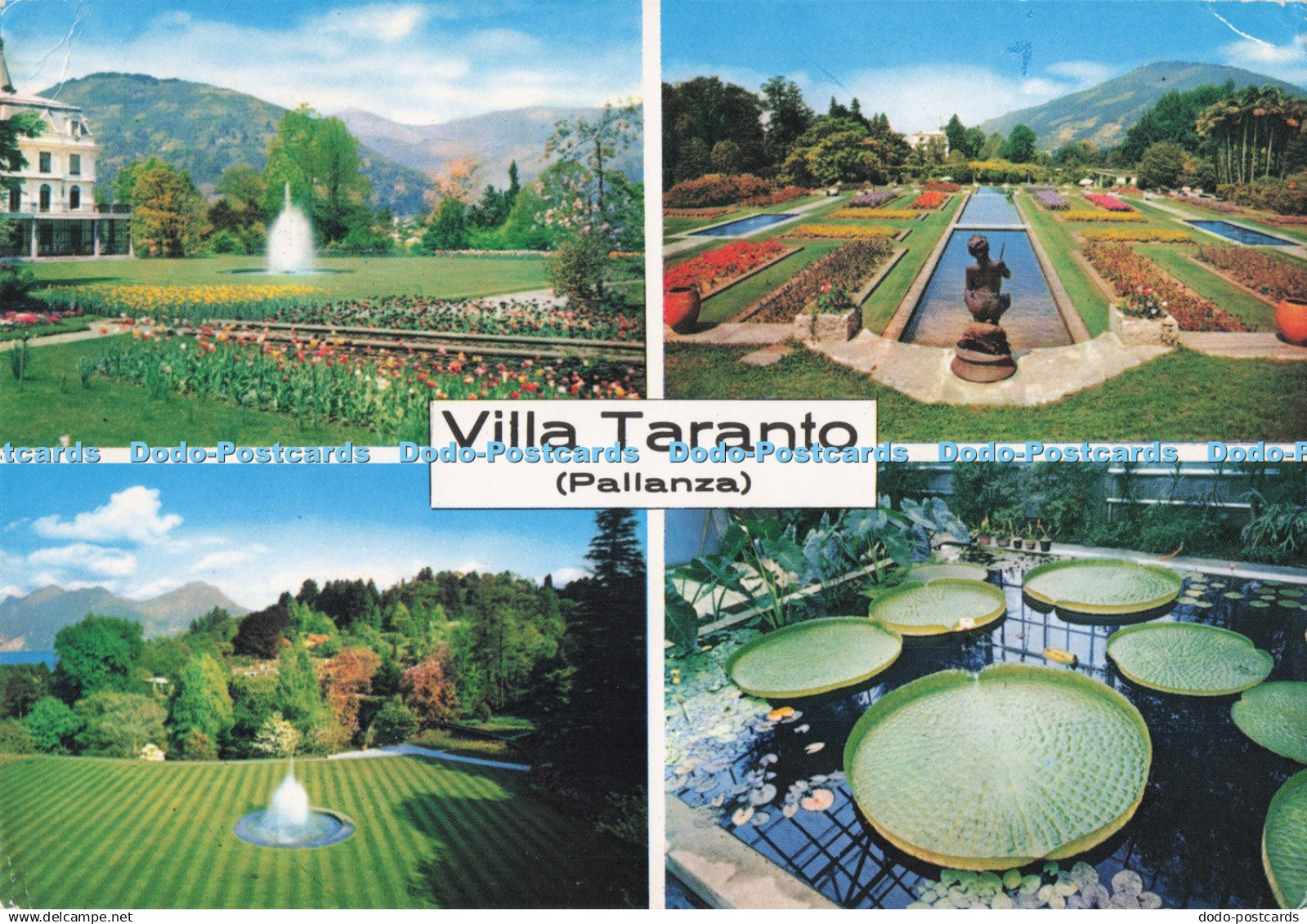 D288349 Pallanza. Villa Taranto. Giardini Botanici di Villa Taranto. Artigrafich