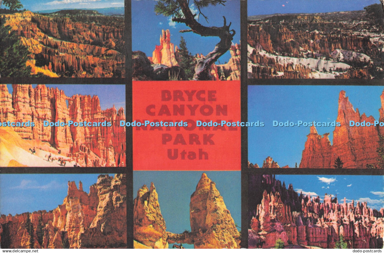 D288591 Bryce Canyon National Park. Utah. Queen Garden. Tower Bridge. George Mc