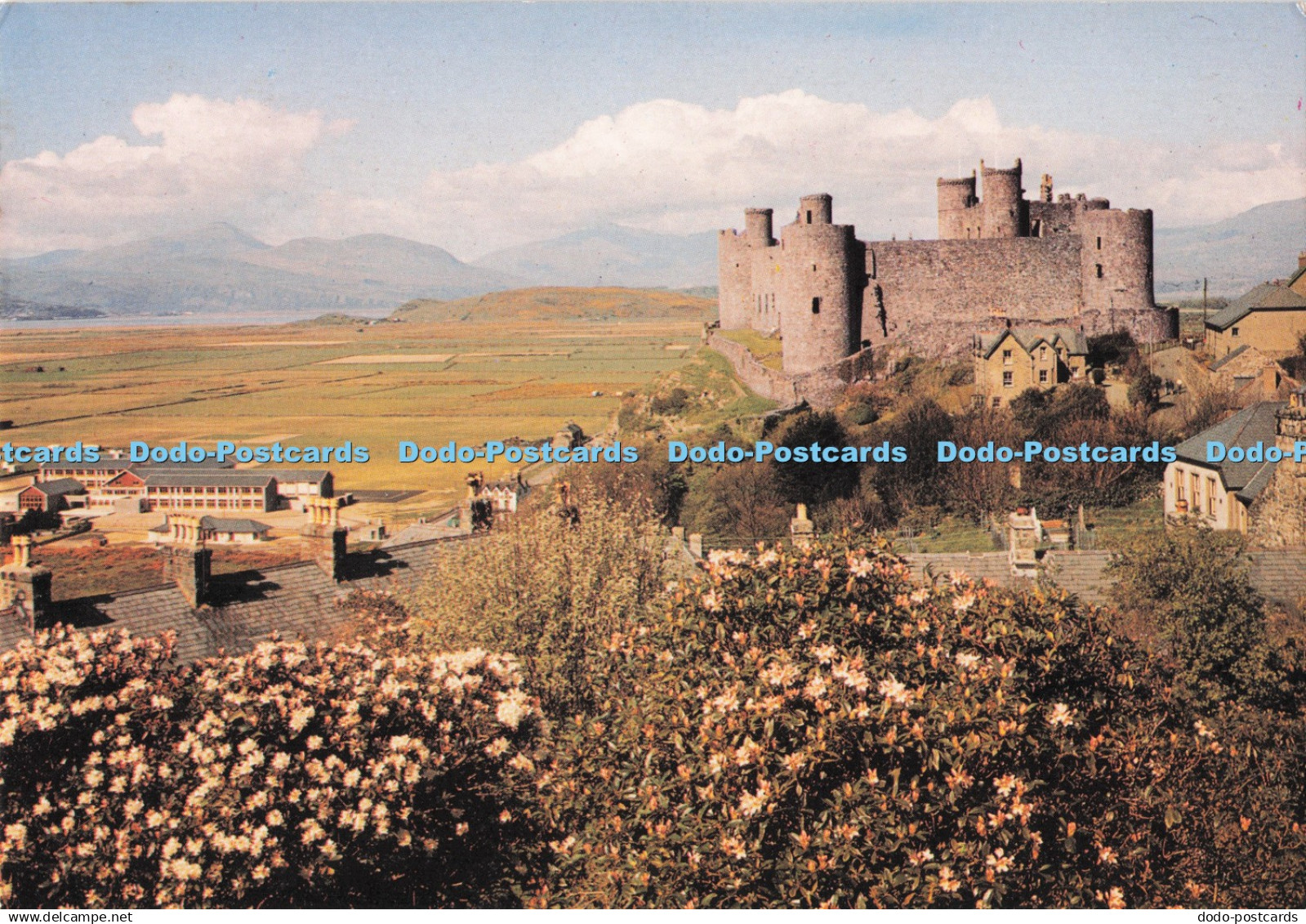 D288912 Gwynedd. Harlech Castle. J. Arthur Dixon