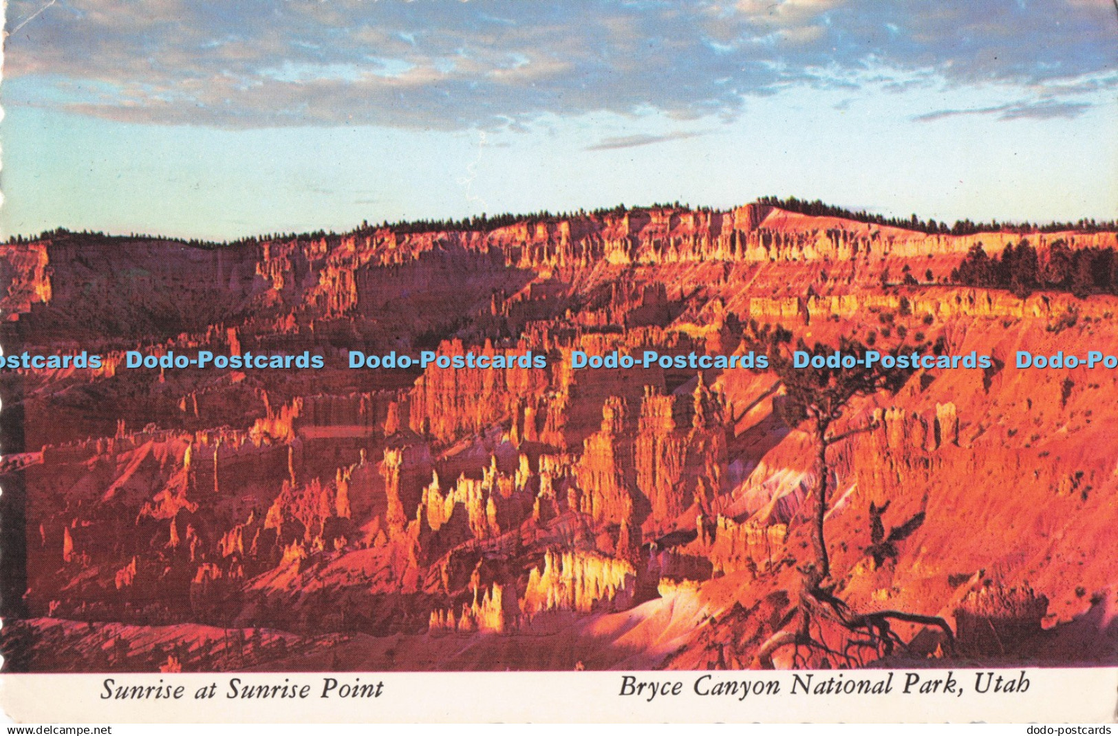 D289407 Utah. Sunrise at Sunrise Point. Bryce Canyon National Park. George Mc. P
