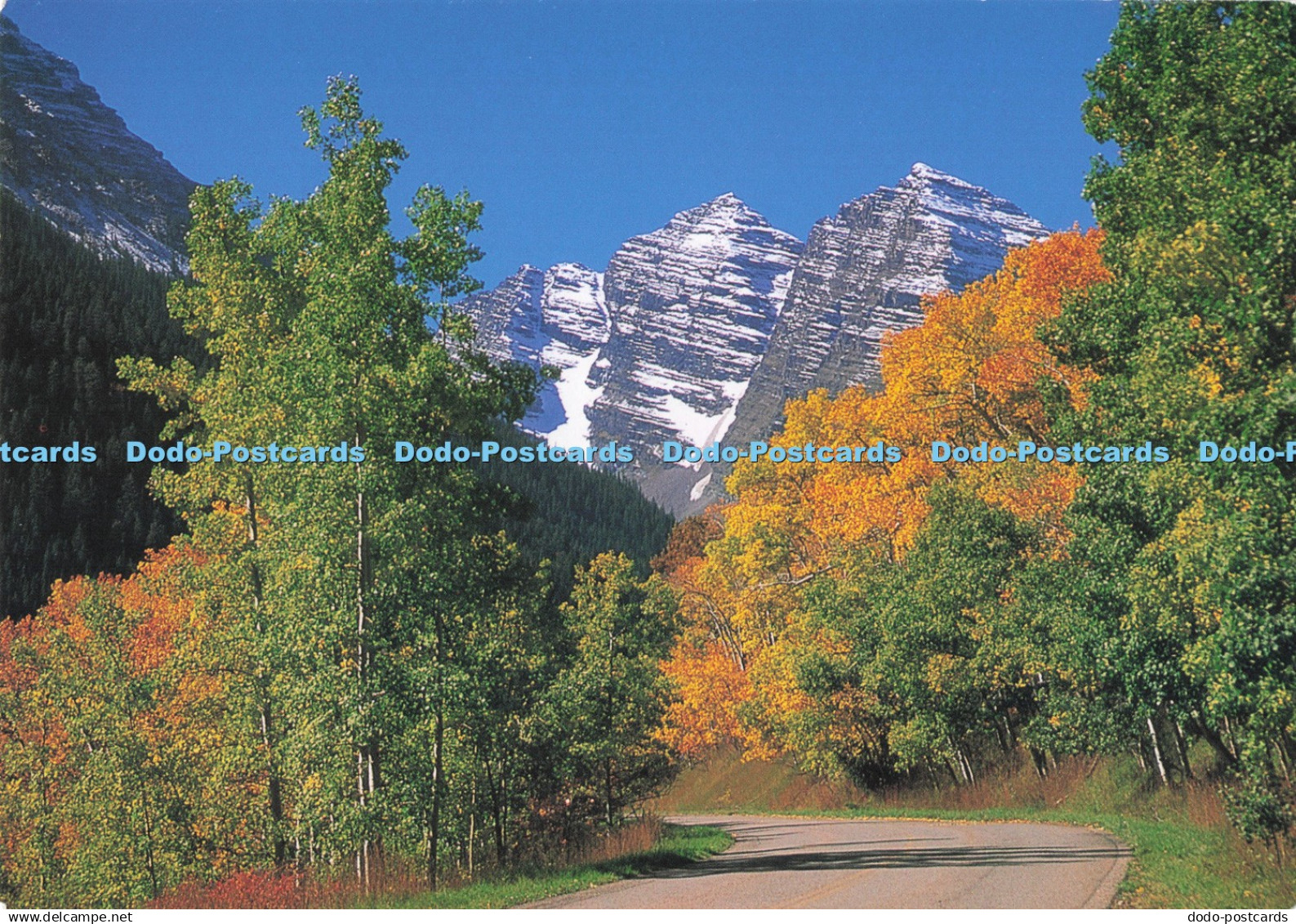 D289413 Colorado. Mardon Bells. Snowmass Wilderness. R. C. Bishop
