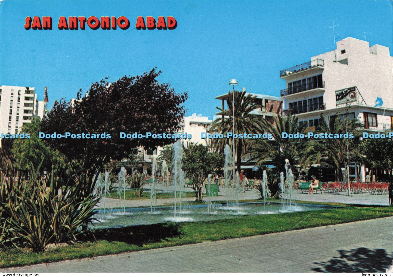 D290688 San Antonio Abad. Cofiba