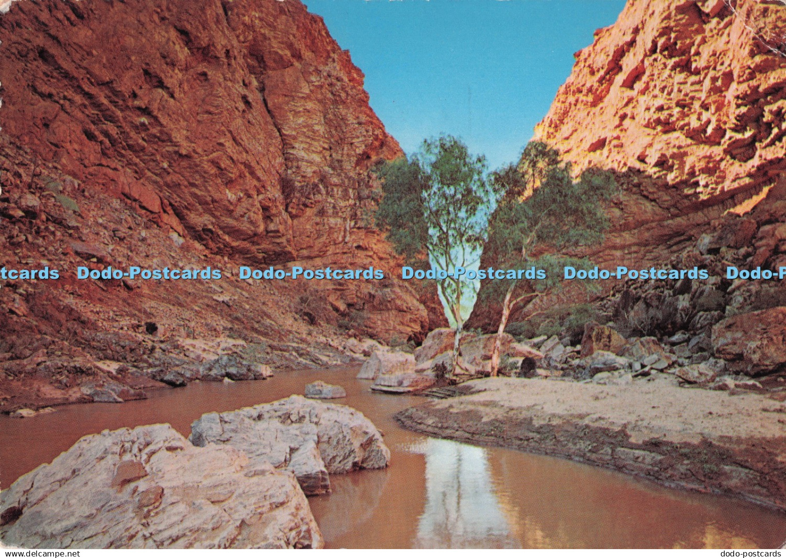 D290979 Central Australia. Simpson Gap. Alice Springs. John Engelander