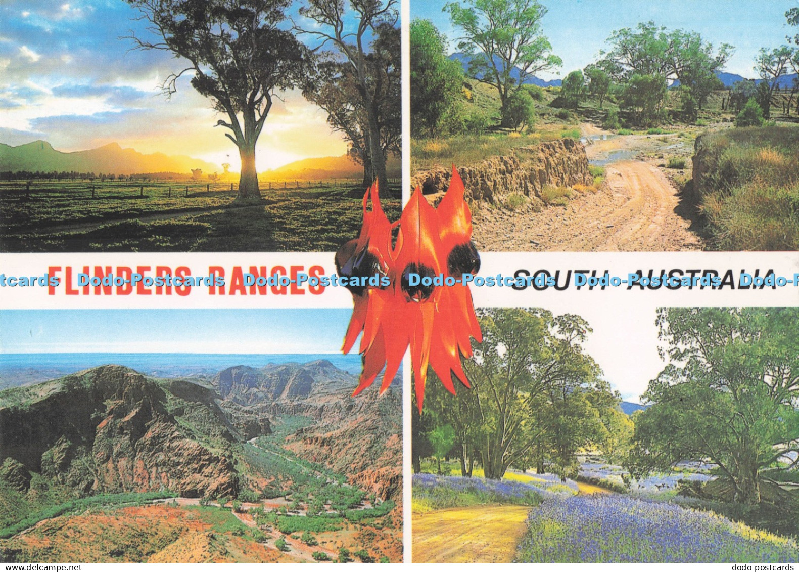 D291693 South Australia. Flinders Ranges. Creek Crossing. An Eye Ci in See. Pres
