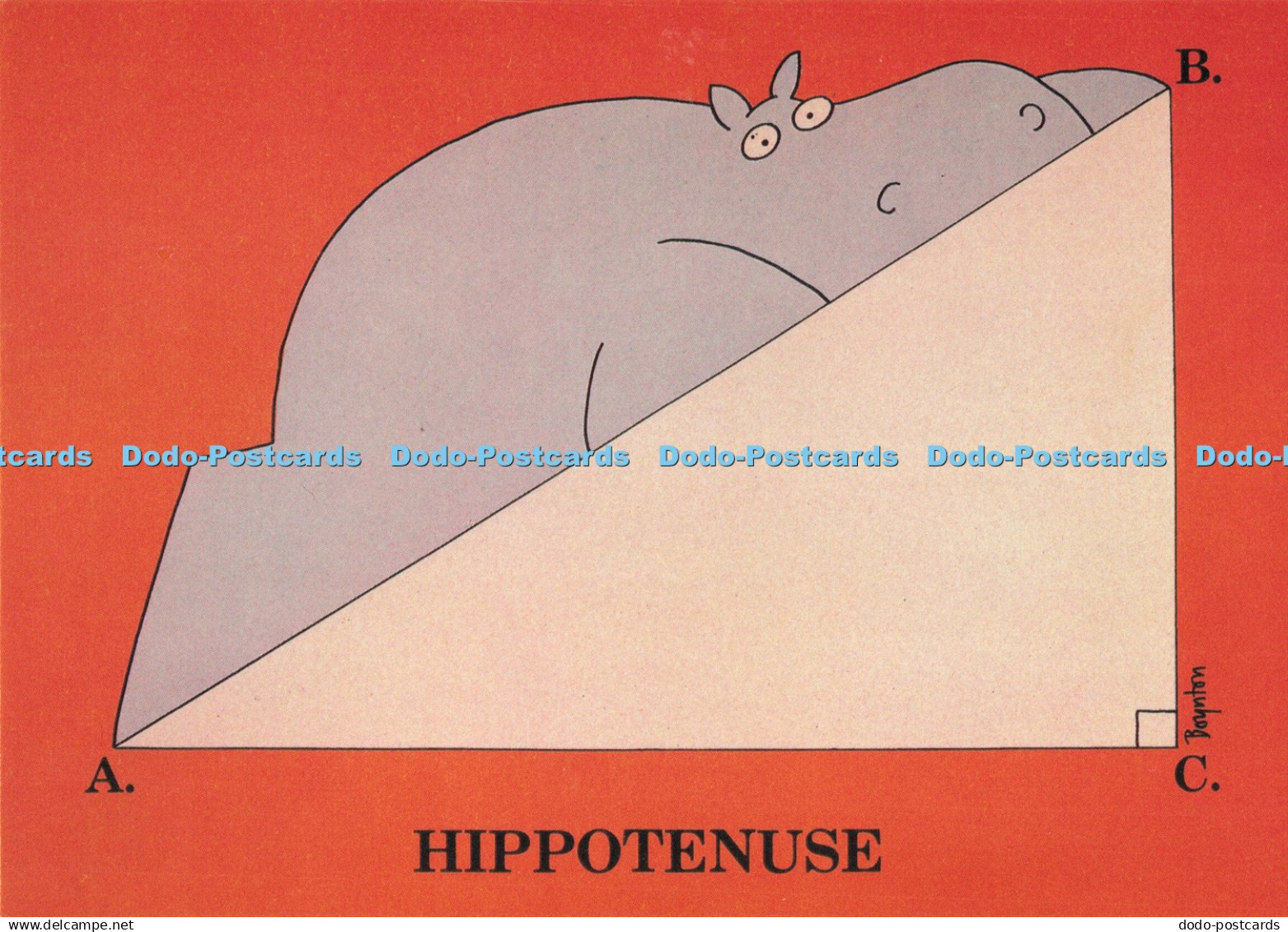 D292473 Hippotenuse. Sandra Boynton. Camden Graphics