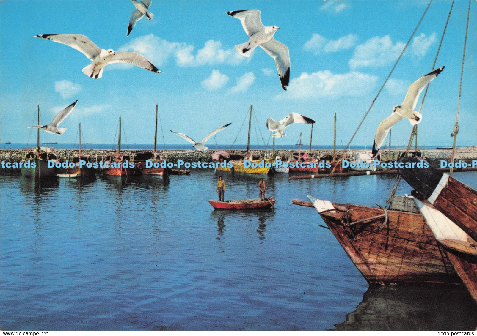 D293428 Kuwait. Harbour of Pearl Fisher Fleet