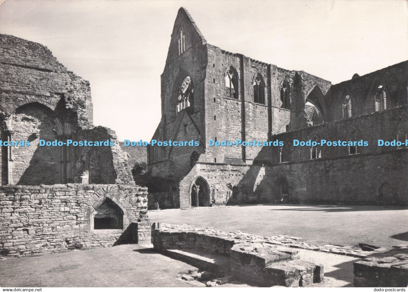 D293621 Monmouthshire. Tintern Abbey. North Transept Seen From Across Cloister.