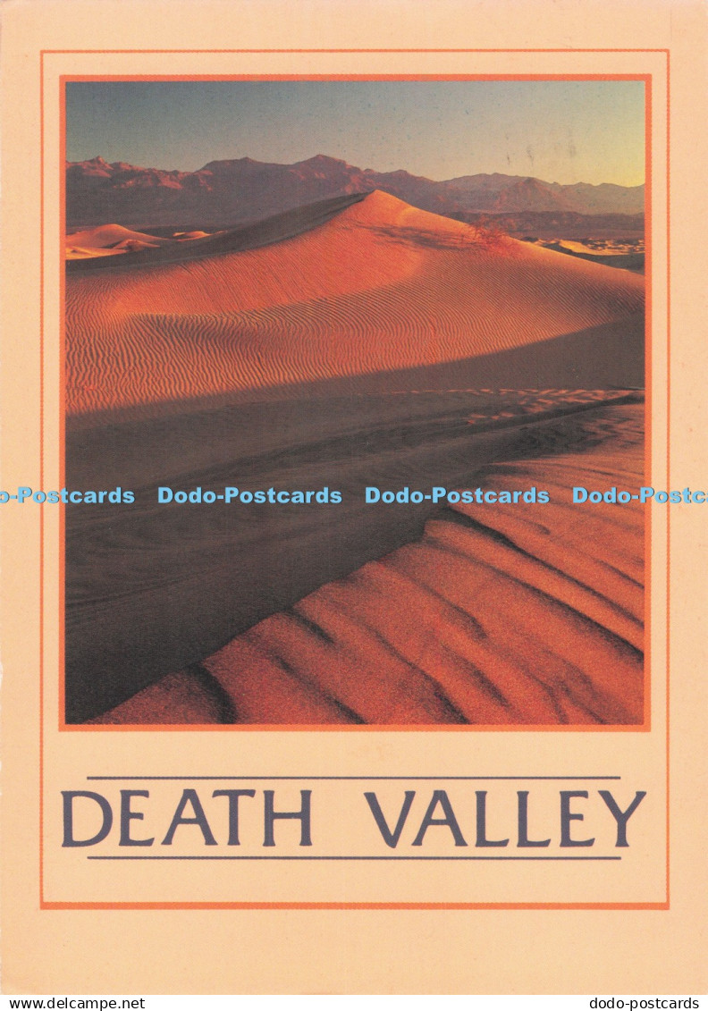 D294571 Death Valley. National Monument. Calif. Shadows Stretch Across The Sand