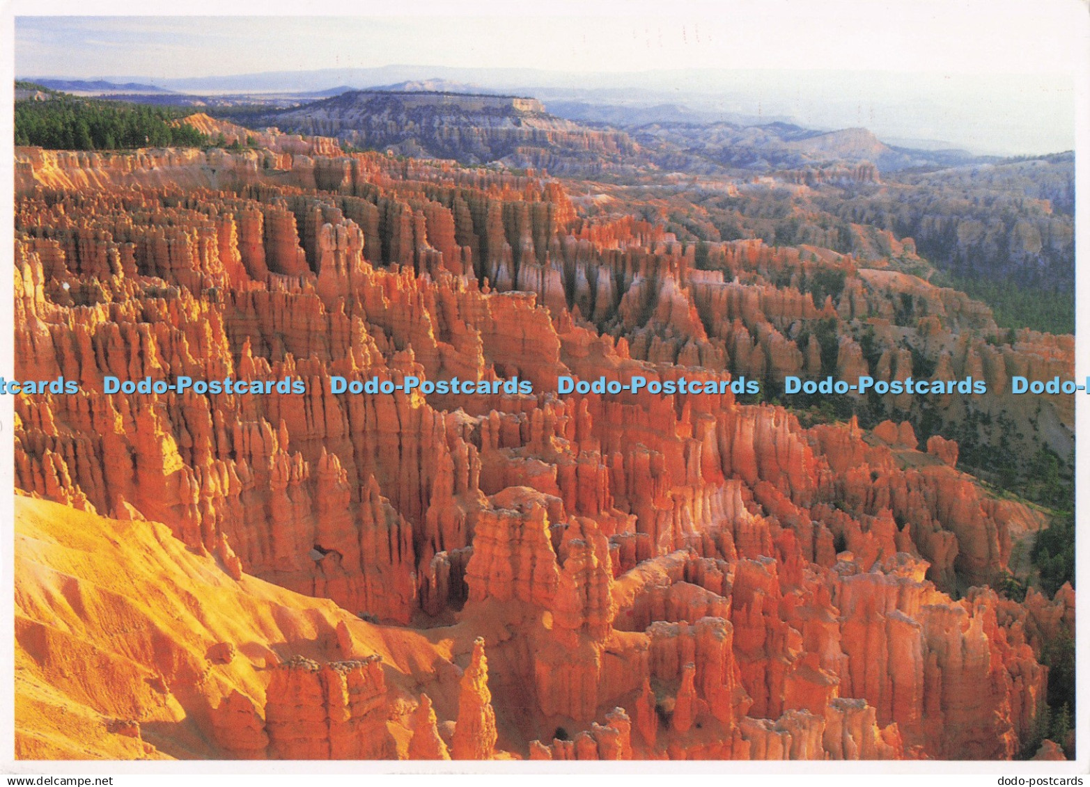 D294586 Bryce. Canyon. John Wagner