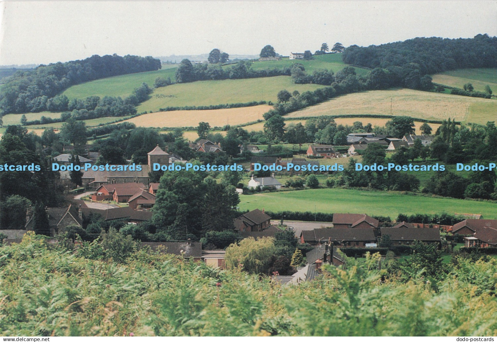 D294707 Herefordshire. Ewyas Harold. Steve