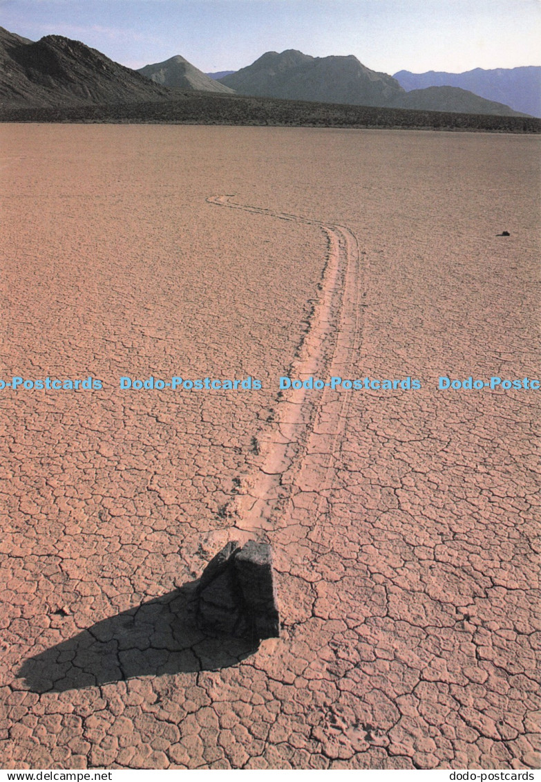 D294915 California. The Recetrack. Death Valley. Natural History Association. Le