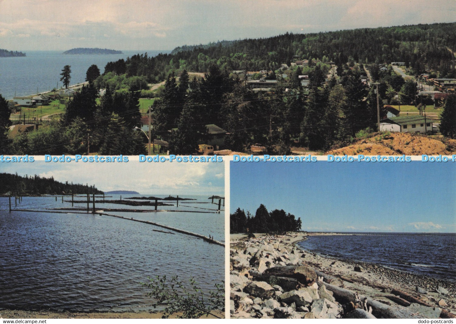D295073 British Columbia. Sunshine Coast. Sechelt. Davis Bay. Scenes by Dorse. L