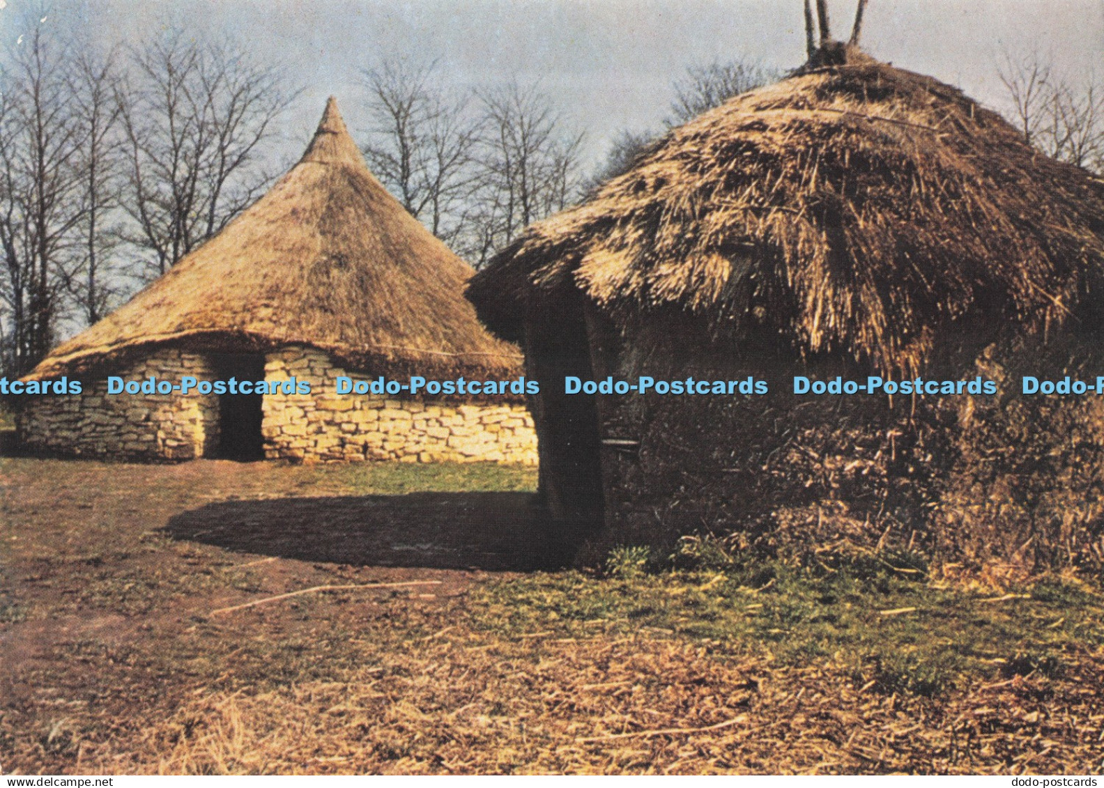 D295167 Stoke Heath. Bromsgrove. Worcestershire. Reconstruction of Iron Age Dwel