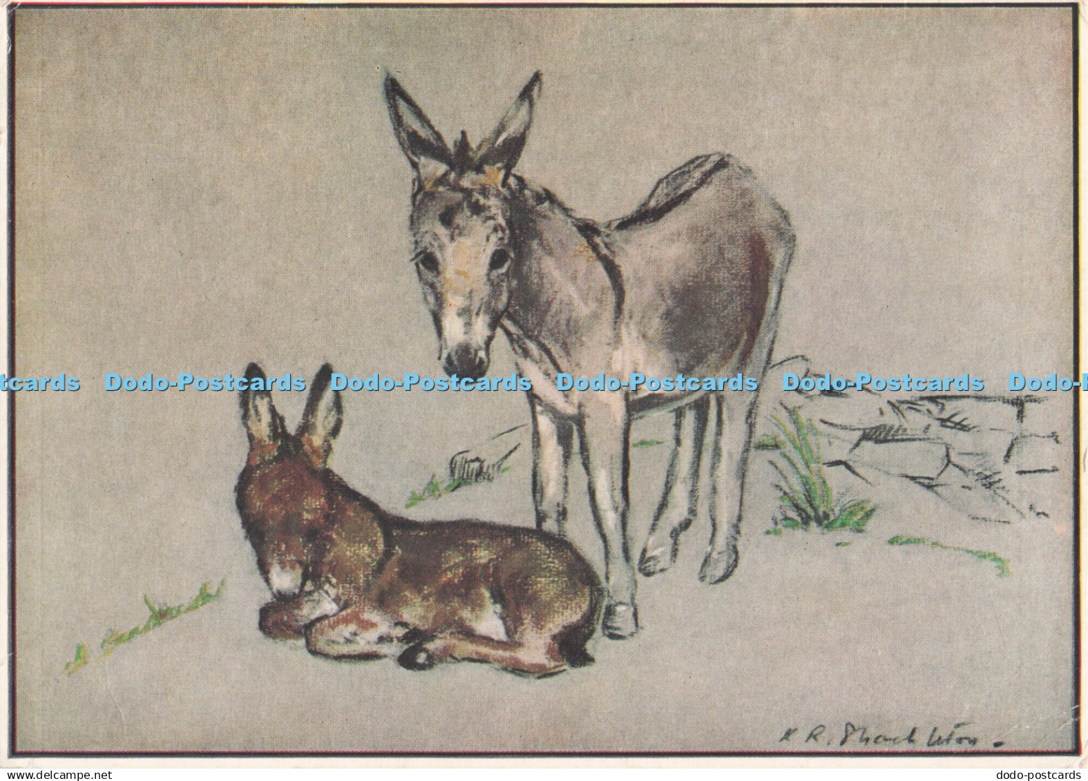 D295893 Proud Parent. The Medici Society. London. Katherine R. Shackleton. PM. B