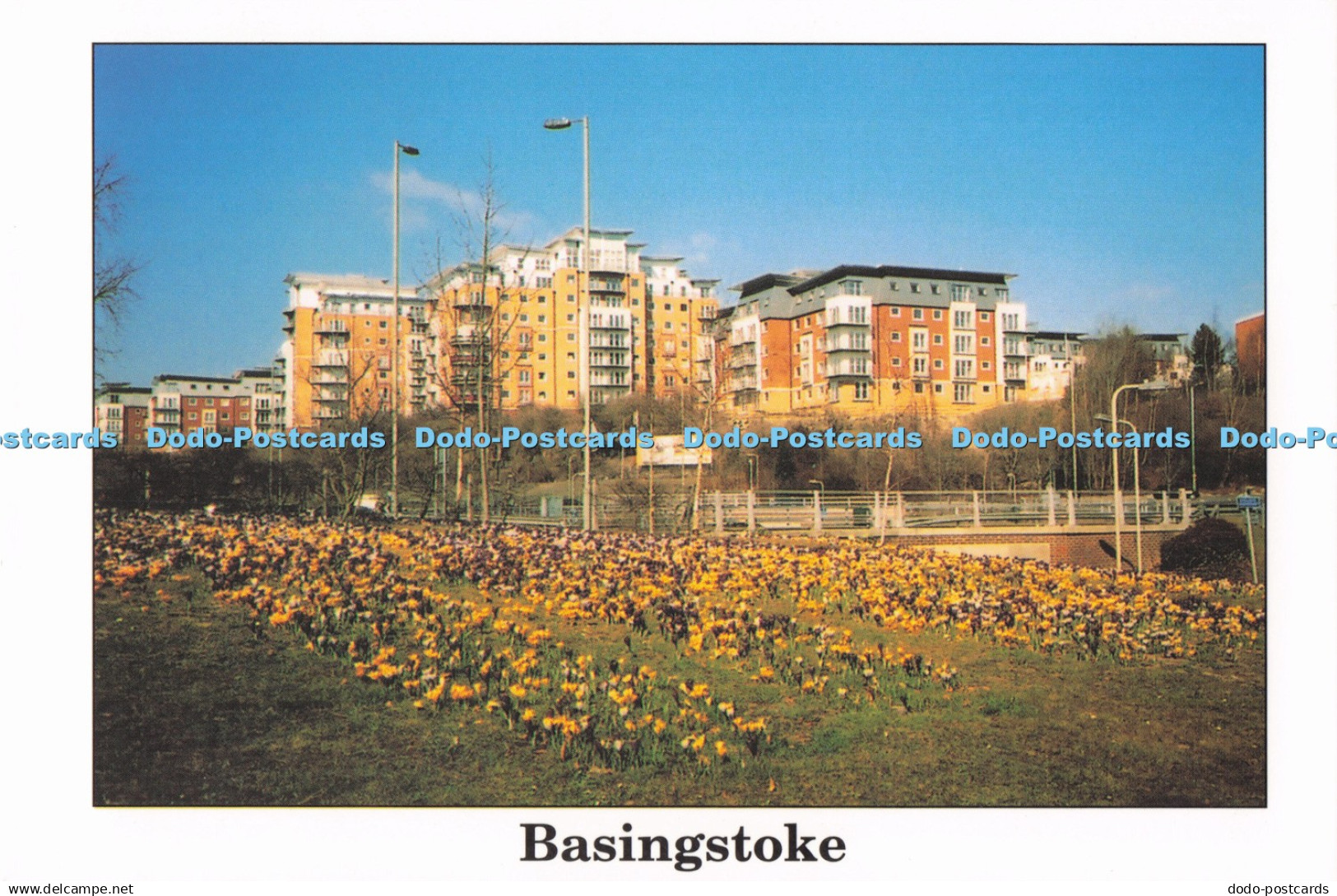 D295958 Basingstoke. Victory Hill. Fair Track Ventures. Peter Hammond