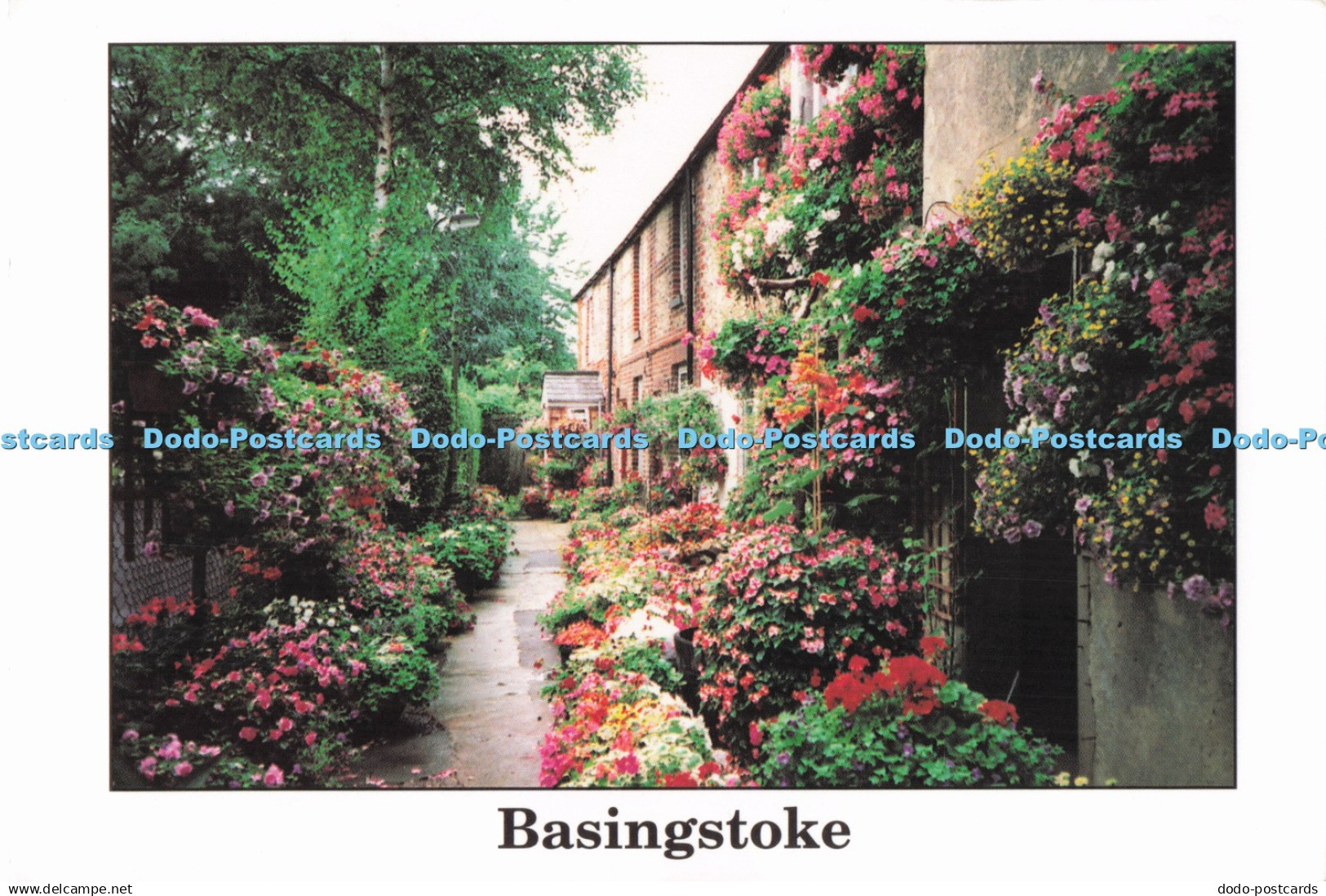 D295960 Basingstoke. Elbow Corner. Fair Track Ventures. Jean Hammond