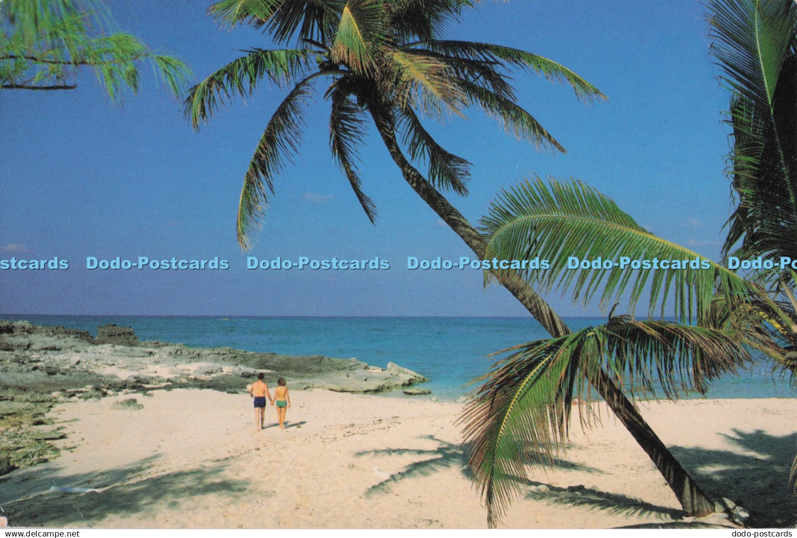 D297157 The Bahamas. Idyllic Beaches. Romantic Islands. Bahamas Scenic Prints. J