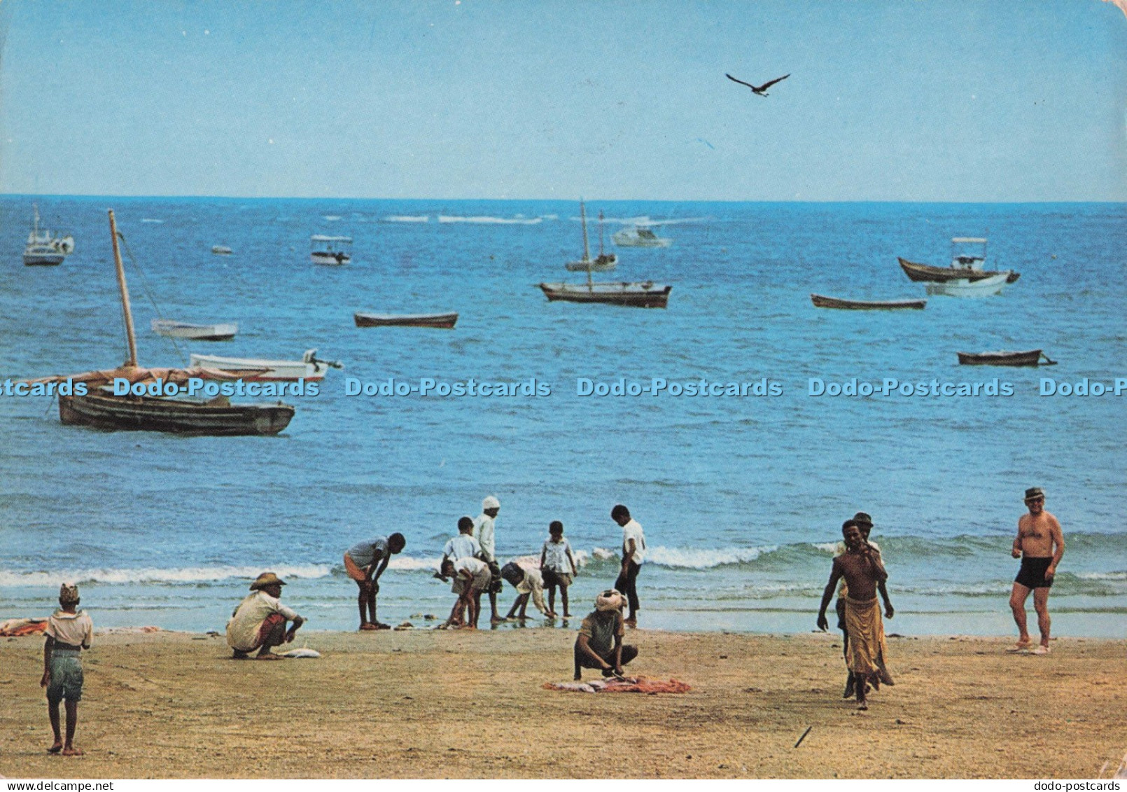 D297953 Kenya Coast. Golden Sunny Beach. Kenya Stationers. Dino Sassi