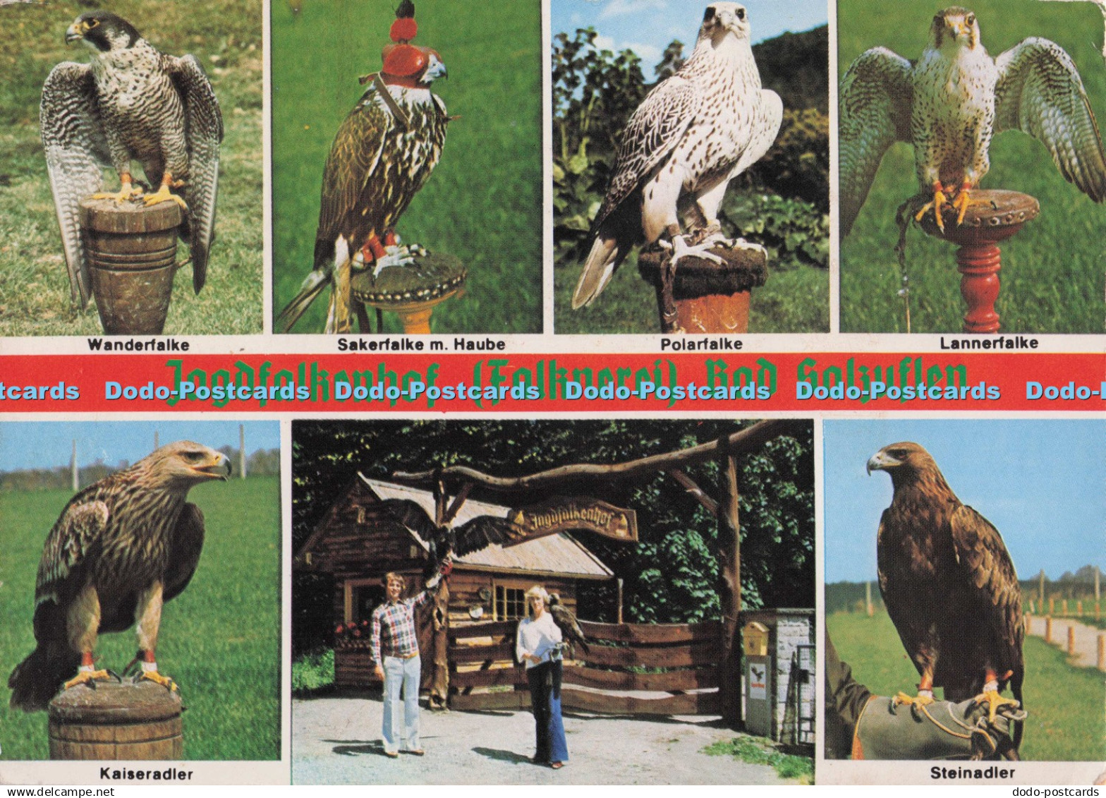 D298066 Jagdfaljenhof. Bad Salzuflen. an der Strasse Bad Salzuflen. Wanderfalke.