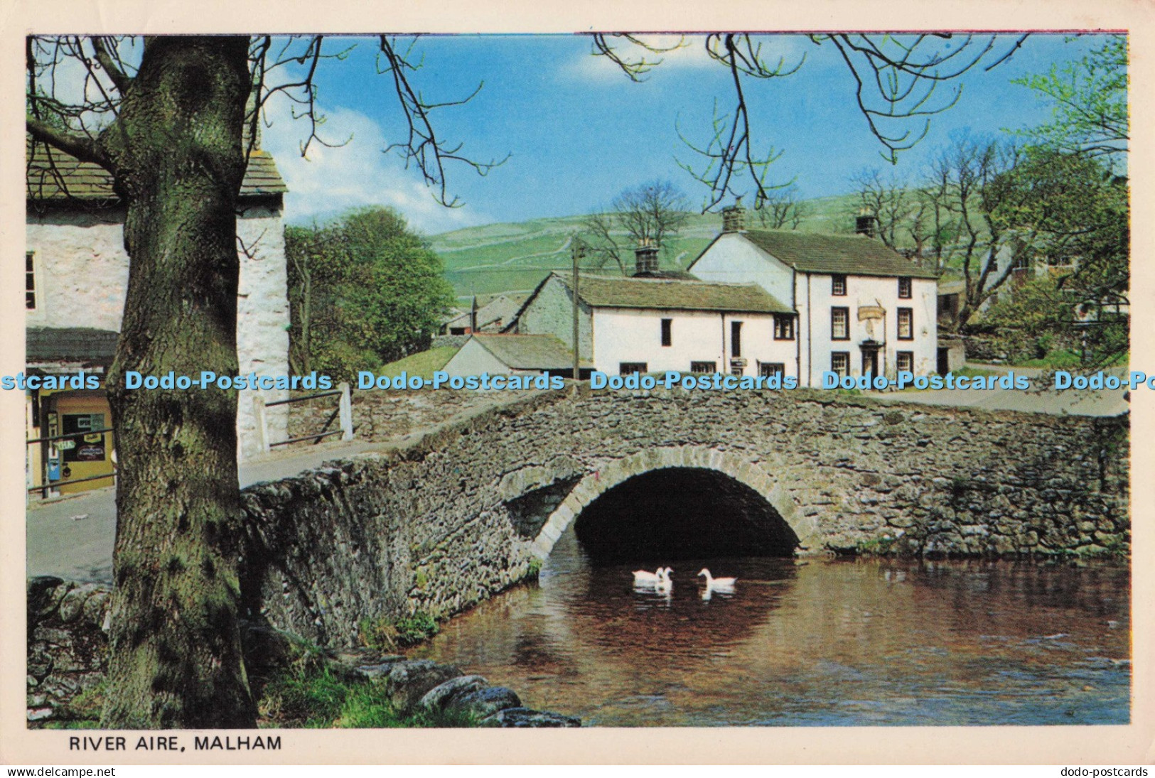 D298100 Malham. River Aire