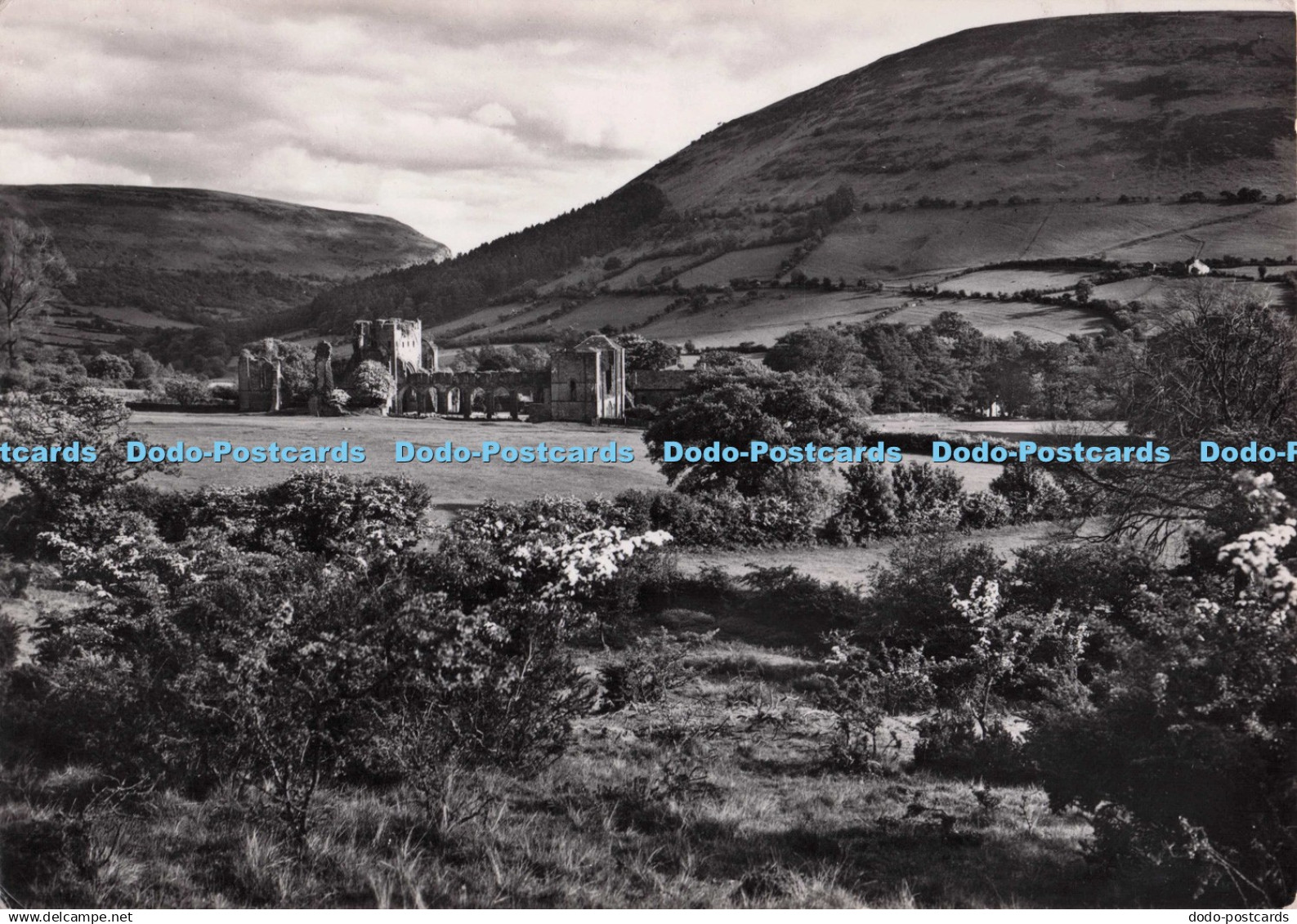 D299049 Monmouthshire. Llanthony Priory. From the North. Crown