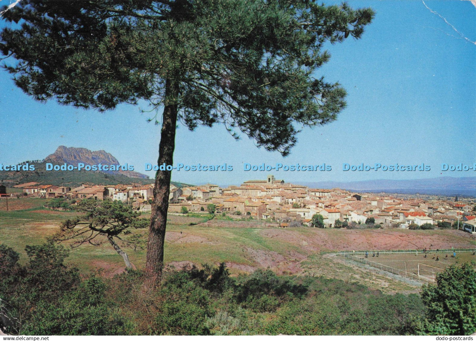 D299218 Roquebrune sur Argens. Vue Generale. Mar. 1970