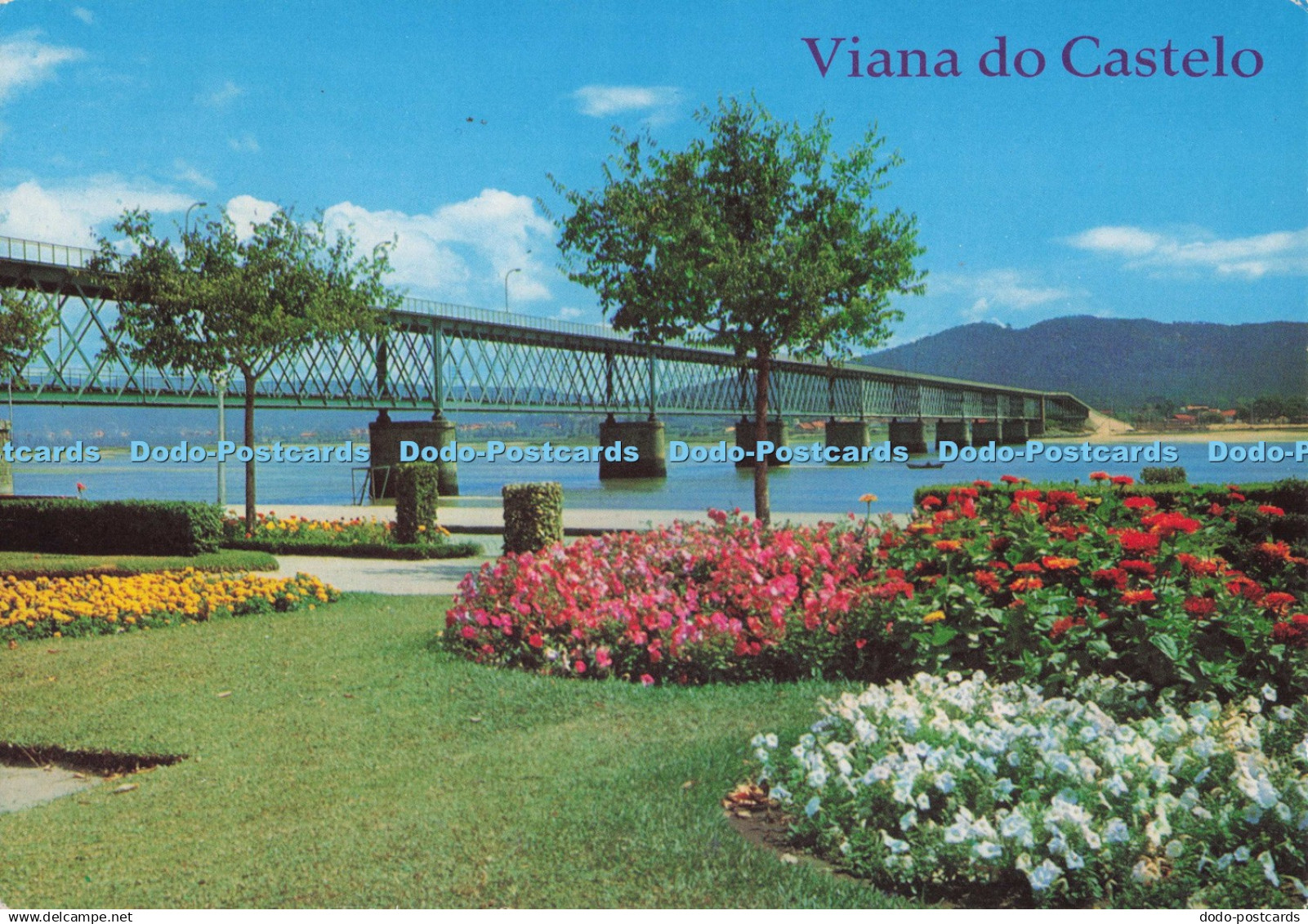 D299860 Viana do Castelo. Portugal. Lusocolor