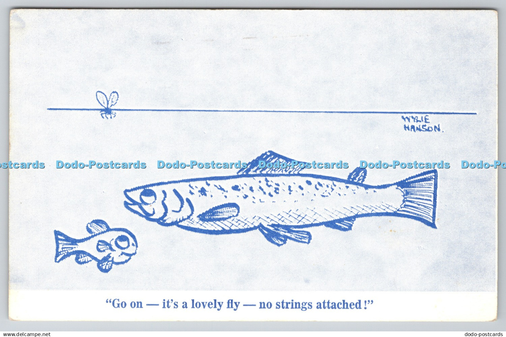 D301570 Go On its a Lovely Fly No Strings Attached Banffshire Journal Ltd Wylie