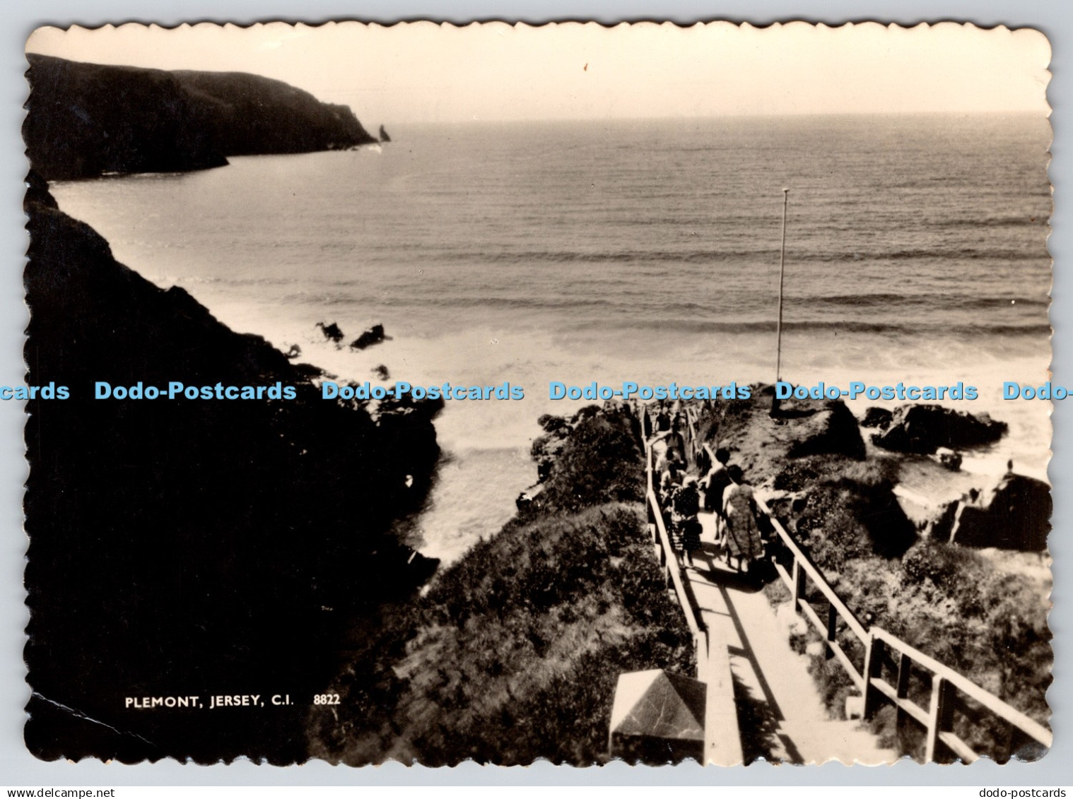 D302311 Jersey C I Plemont Premier Printers