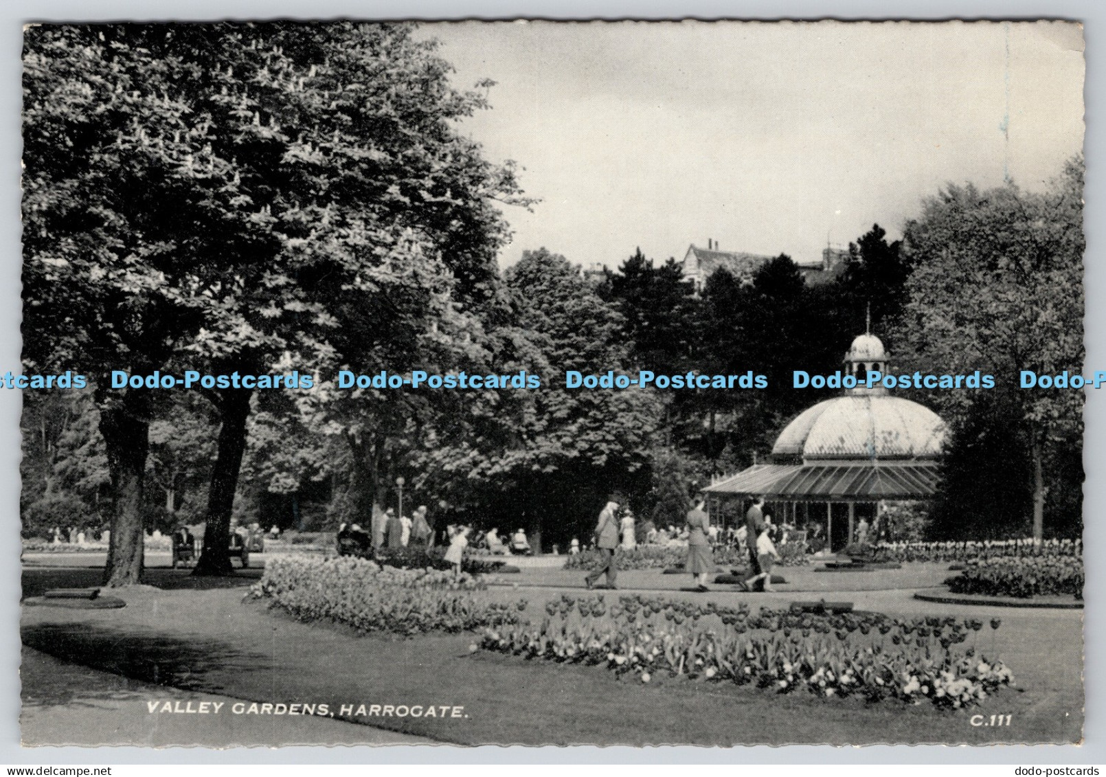 D302313 Harrogate Valley Gardens 1959