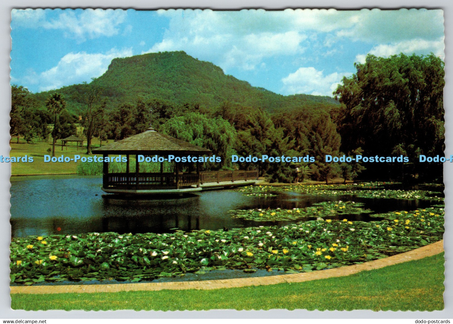 D302361 N S W Keiraville Northfields Avenue Wollongong Botanic Garden Lake and I