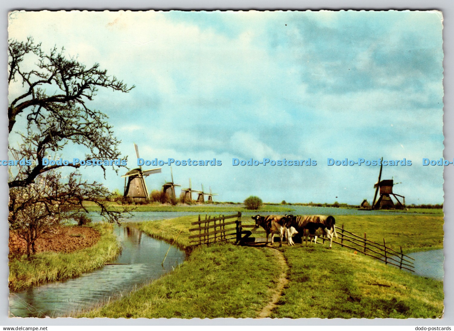 D302698 Holland Kinderdijk De Muinck and Co
