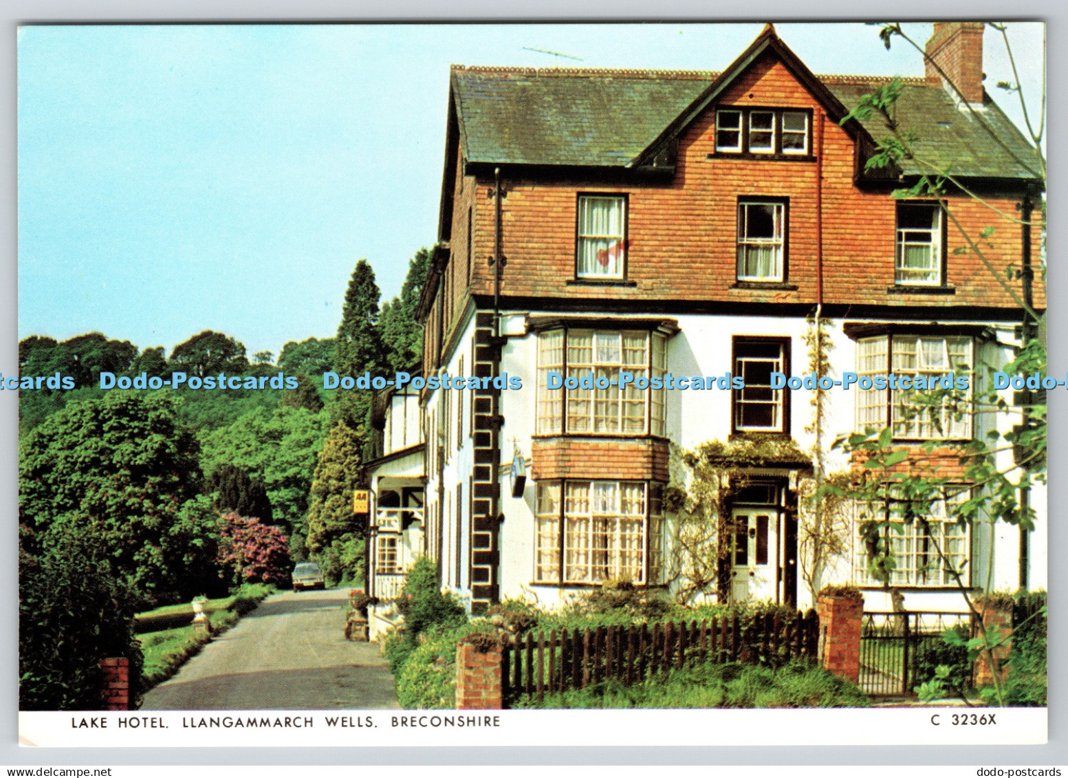 D304178 Breconshire Llangammarch Wells Lake Hotel Judges Hastings Postcard
