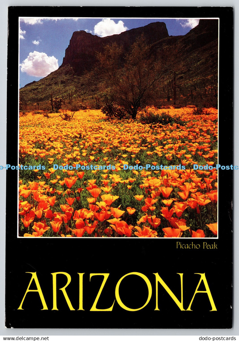 D304666 Arizona Picacho Peak Smith Southwestern Inc Tempe 1986