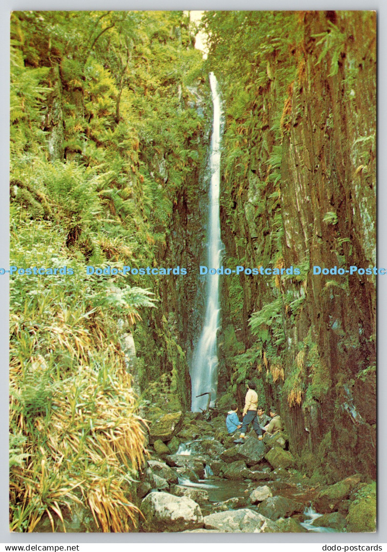 D305963 Cumberland Scale Force J Arthur Dixon Great Britain DRG A Dickinson Robi