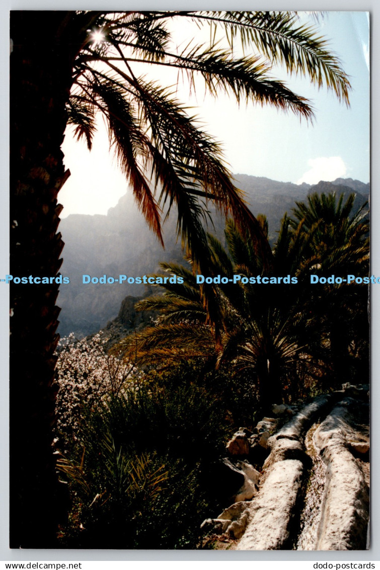 D307616 Falej Wadi Mistal Sultanate of Oman PM Muscat