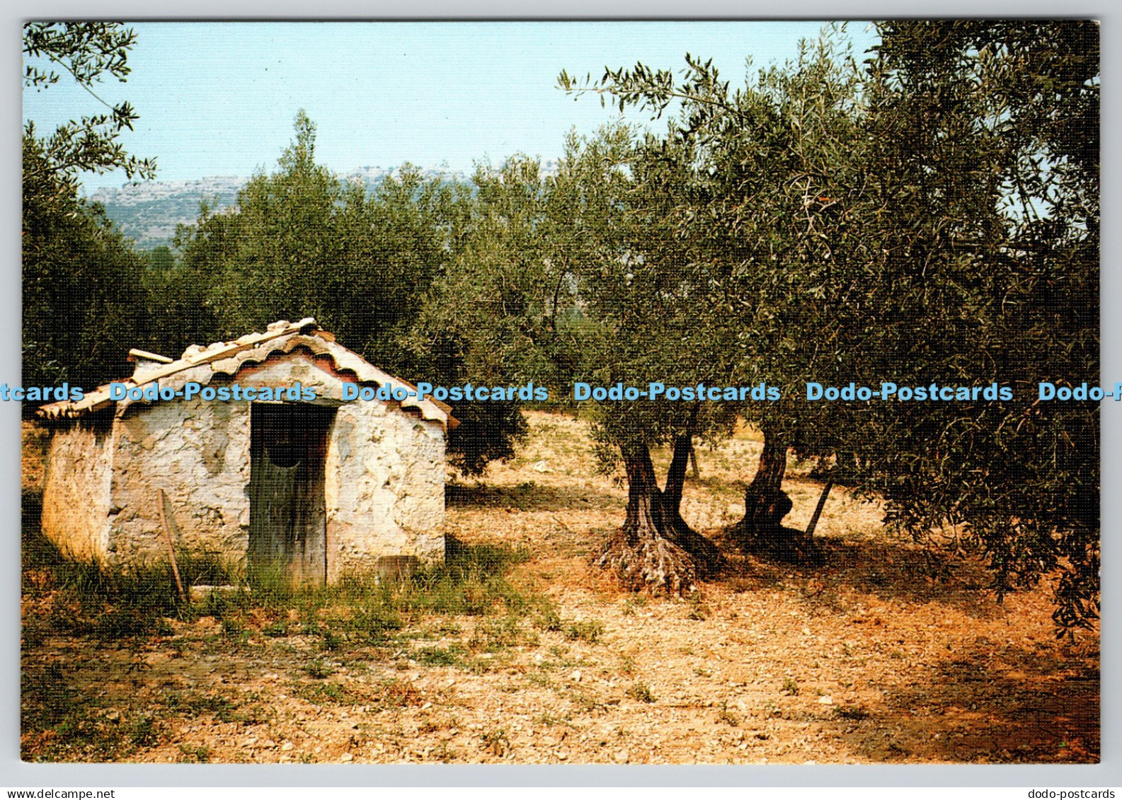 D308380 Cabanon dans les oliviers en Provence Provence G A L Carpentras France N