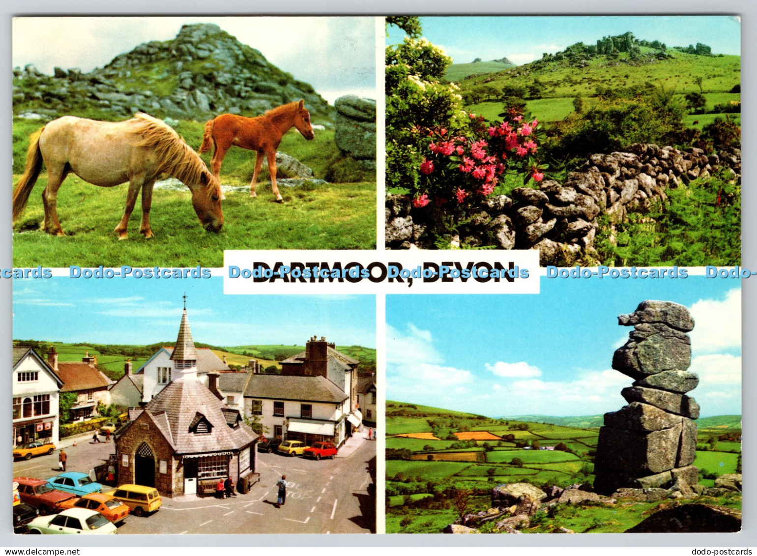 D308512 Devon Dartmoor Ponies Chagfort Dartmoor Hound Tor Dartmoor Bowermans Nos
