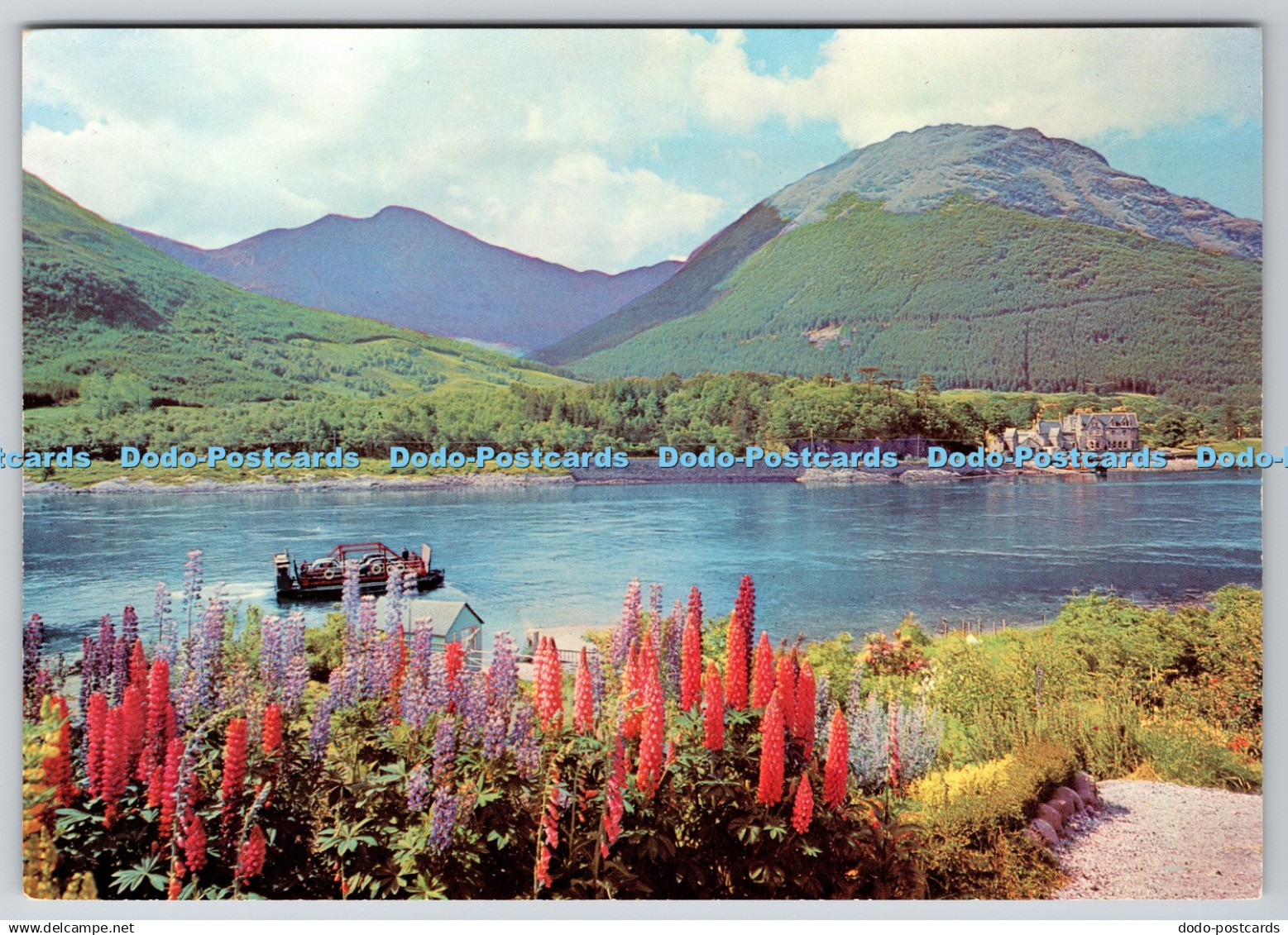 D308911 Scotland Ballachulish Ferry J Arthur Dixon Scotland DRG Dickinson Robins