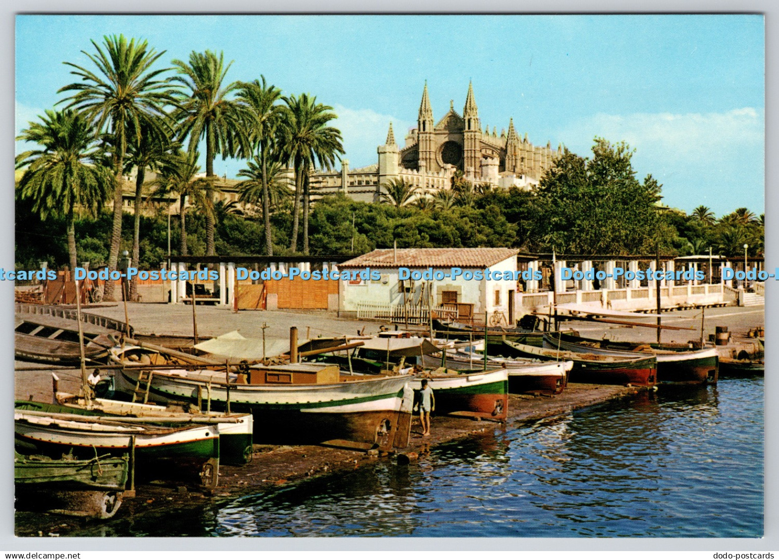 D309538 Mallorca Palma La Catedral Desde el Muelle de Pescadores Palma Foto Plan