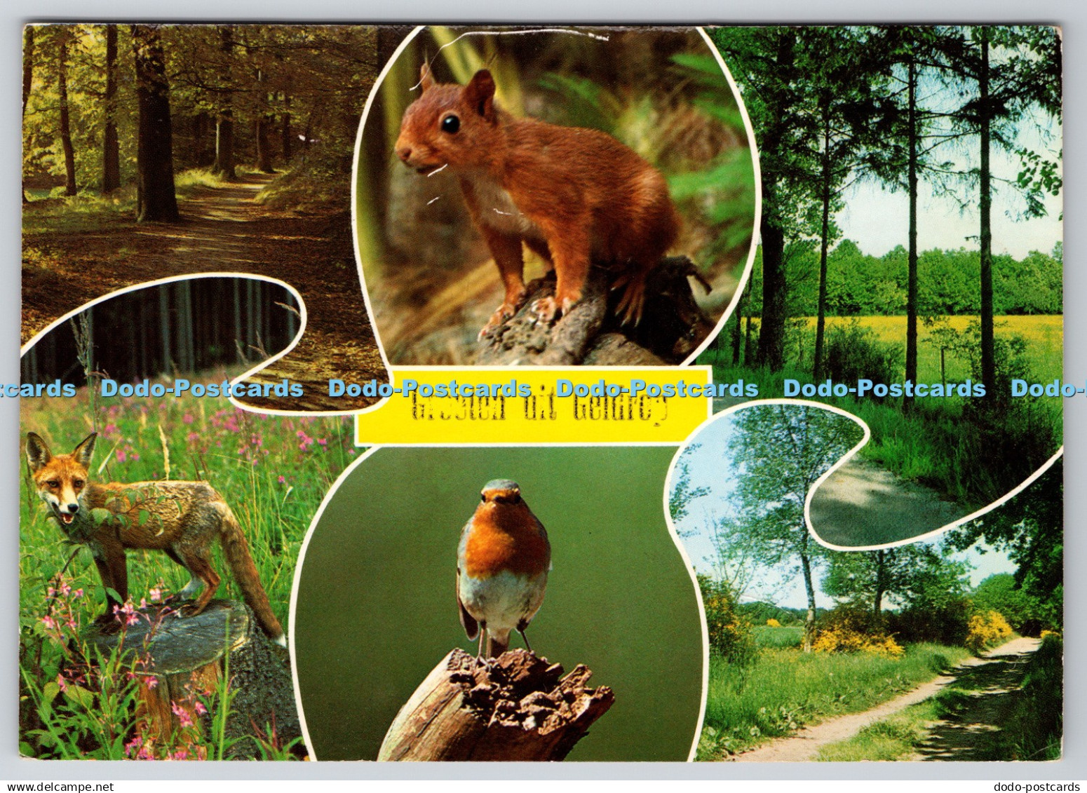 D310219 Groeten uit Geldrop Birds Squirrel Fox Forest Multi View