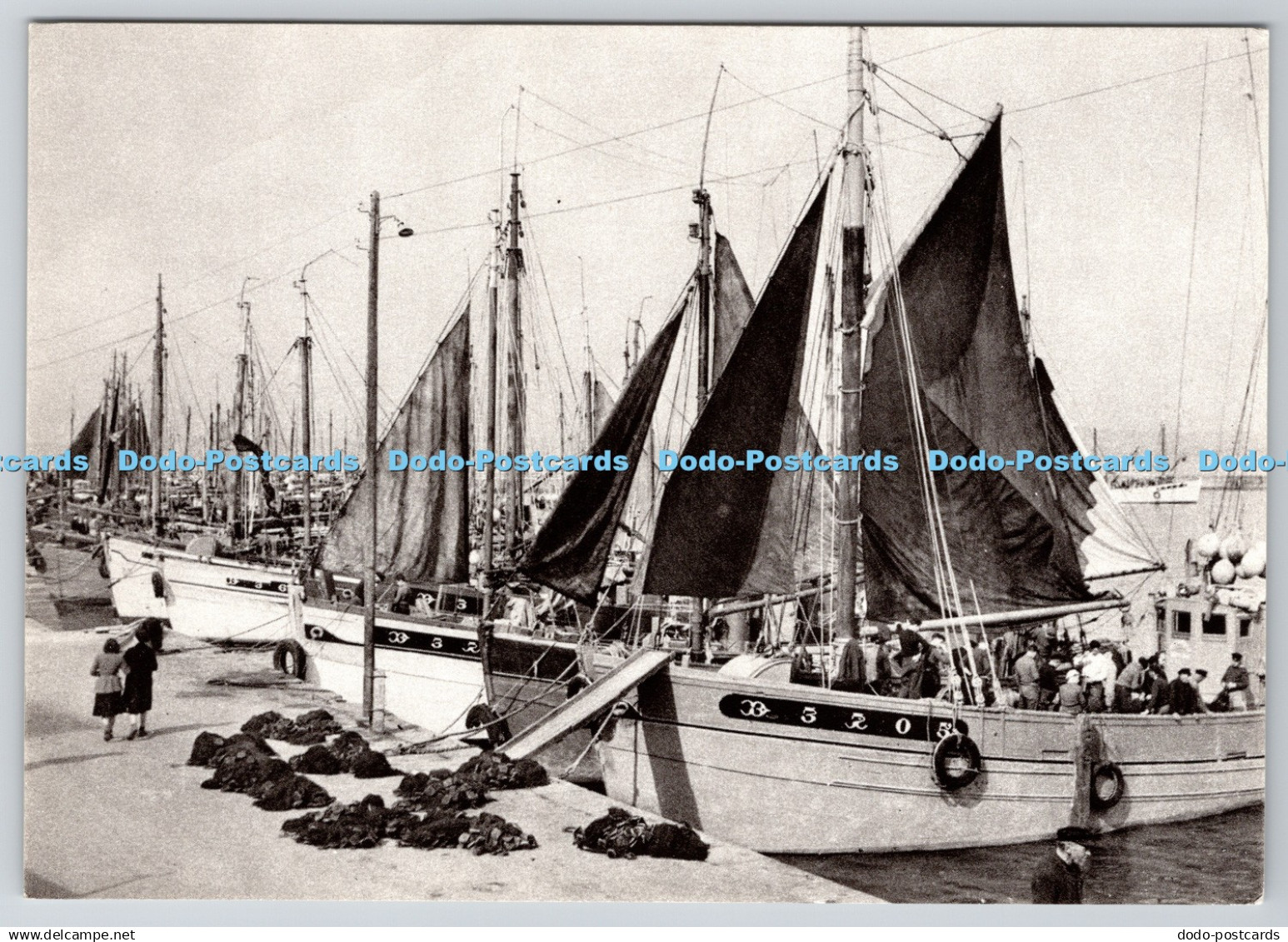 D310388 Douarnenez Le Port de Douarnenez Les Malamoks a Quai Art Jos de Doare