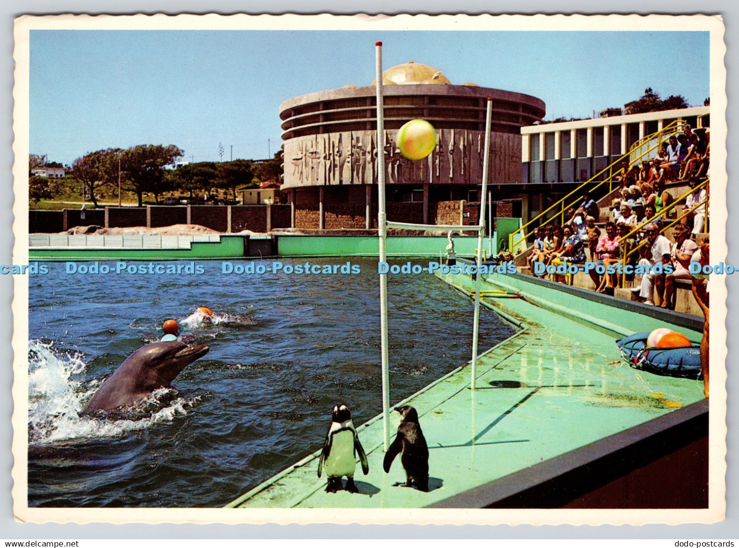 D311426 Port Elizabeth Oceanarium Arthur English Prints