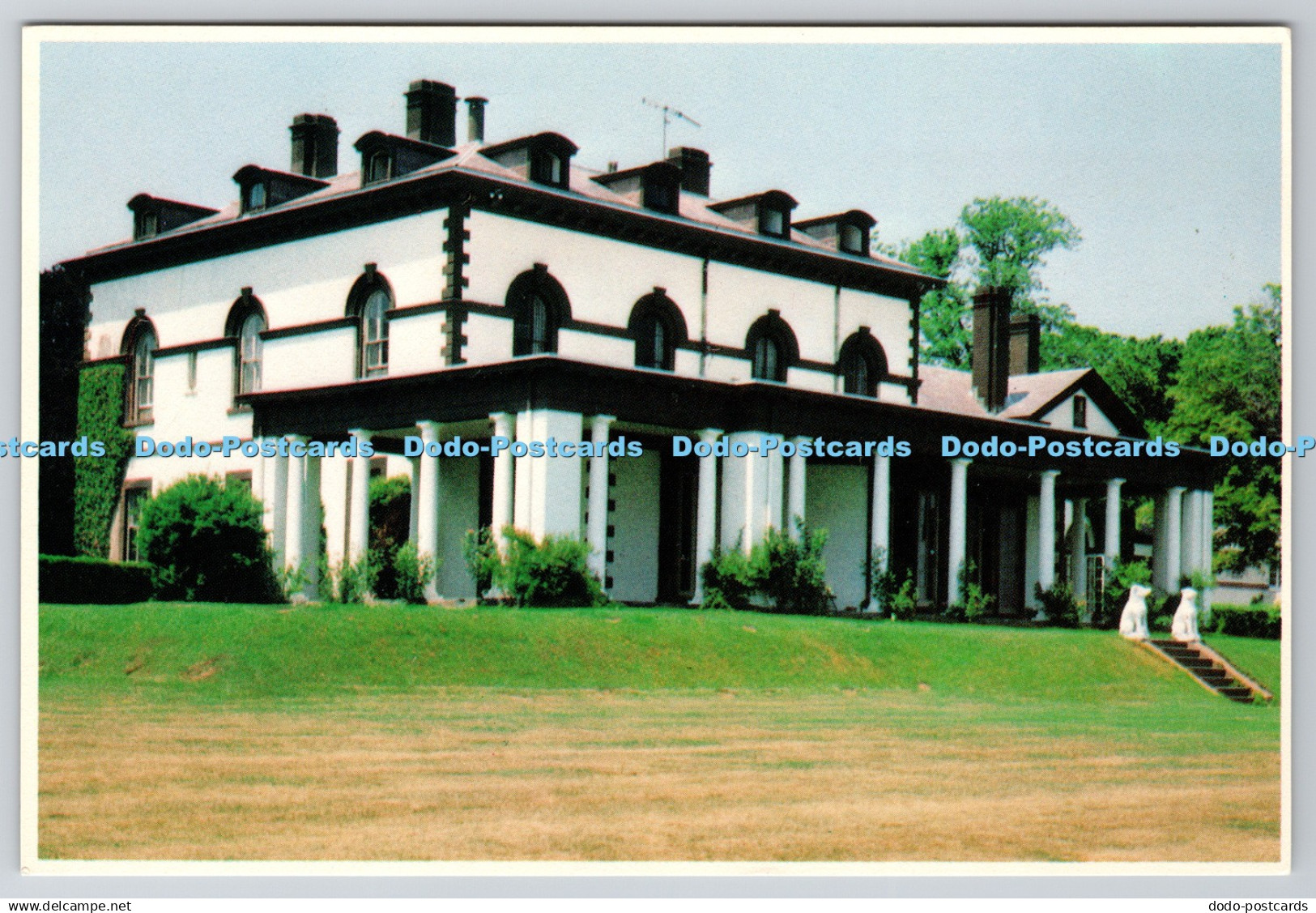 D312446 Newport. R. I. Beachwood. Newport Postcards. Mike Roberts. The Continent