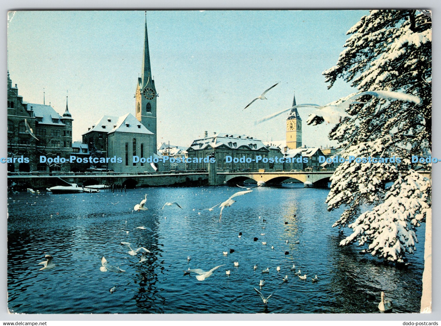 D313021 Zurich. An der Limmat. Stadthaus. Fraumunster. Meise. St Peter. B plus P