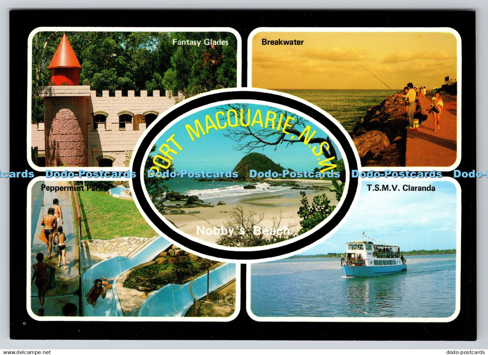 D313596 Port Macquarie N. S. W. Nobby Beach. The Rose Series De Luxe. Rose Stere