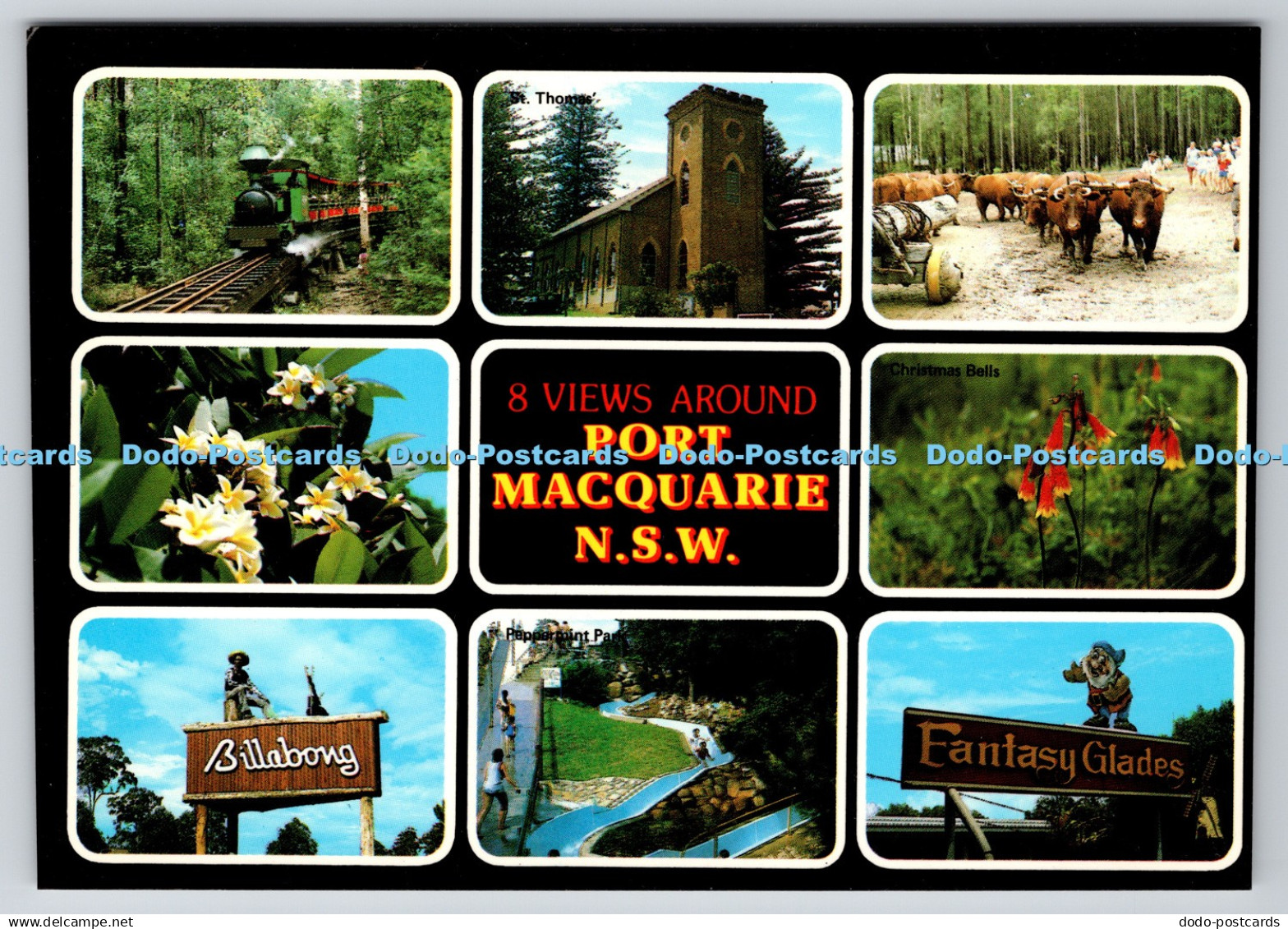 D313636 Port Macquarie N. S. W. The Rose Series De Luxe. Multi View