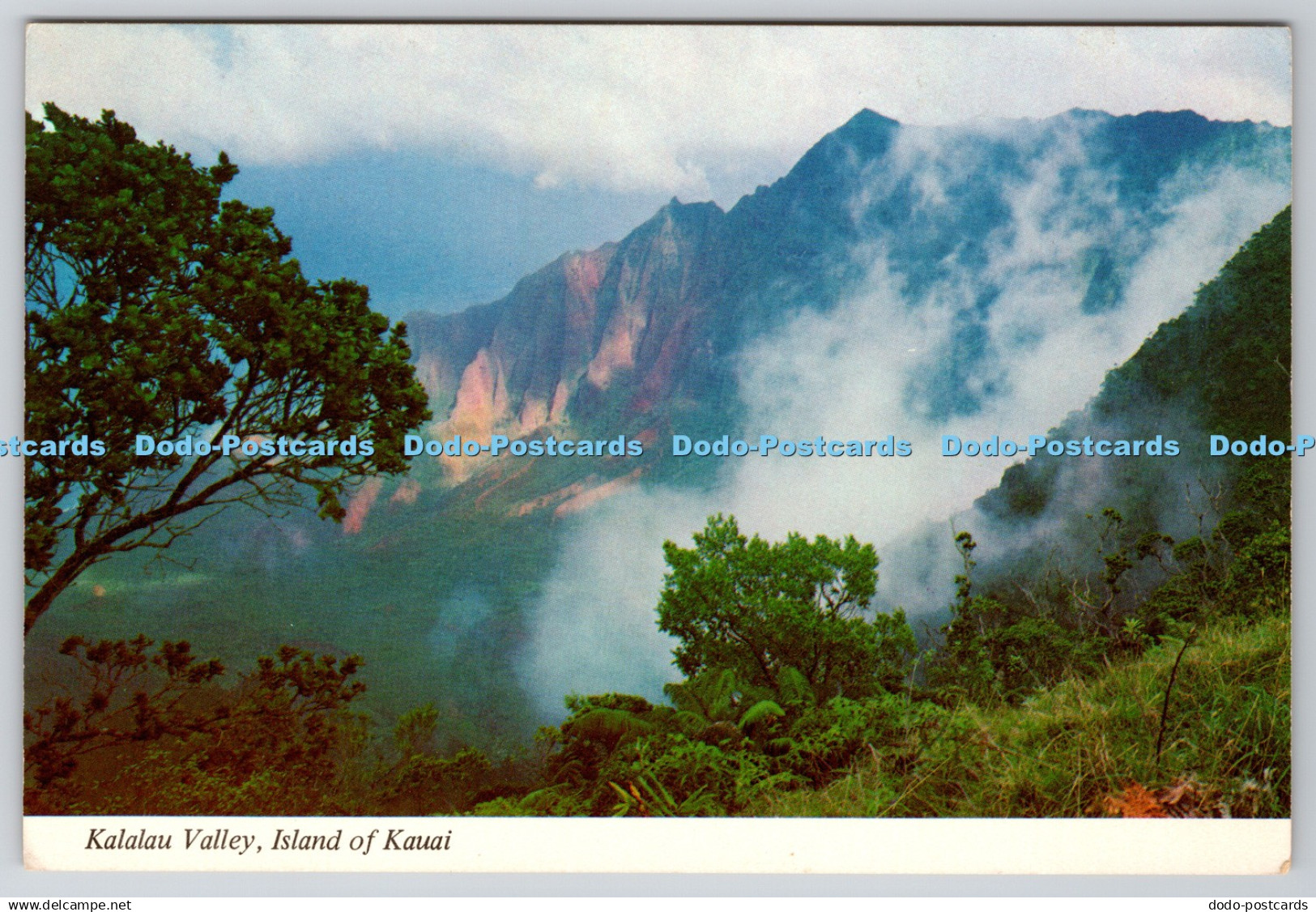 D315115 Hawaii. Island of Kauai. Kalalau Valley. Continental Card. MS. Movie Sup